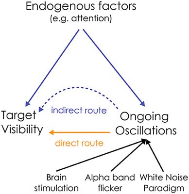 Alpha Power Modulates Perception Independently of Endogenous Factors